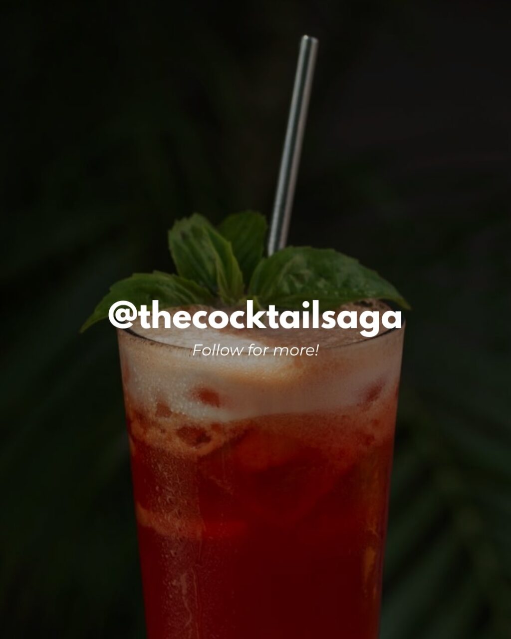 Instagram post from thecocktailsaga. This post is in position 3.
