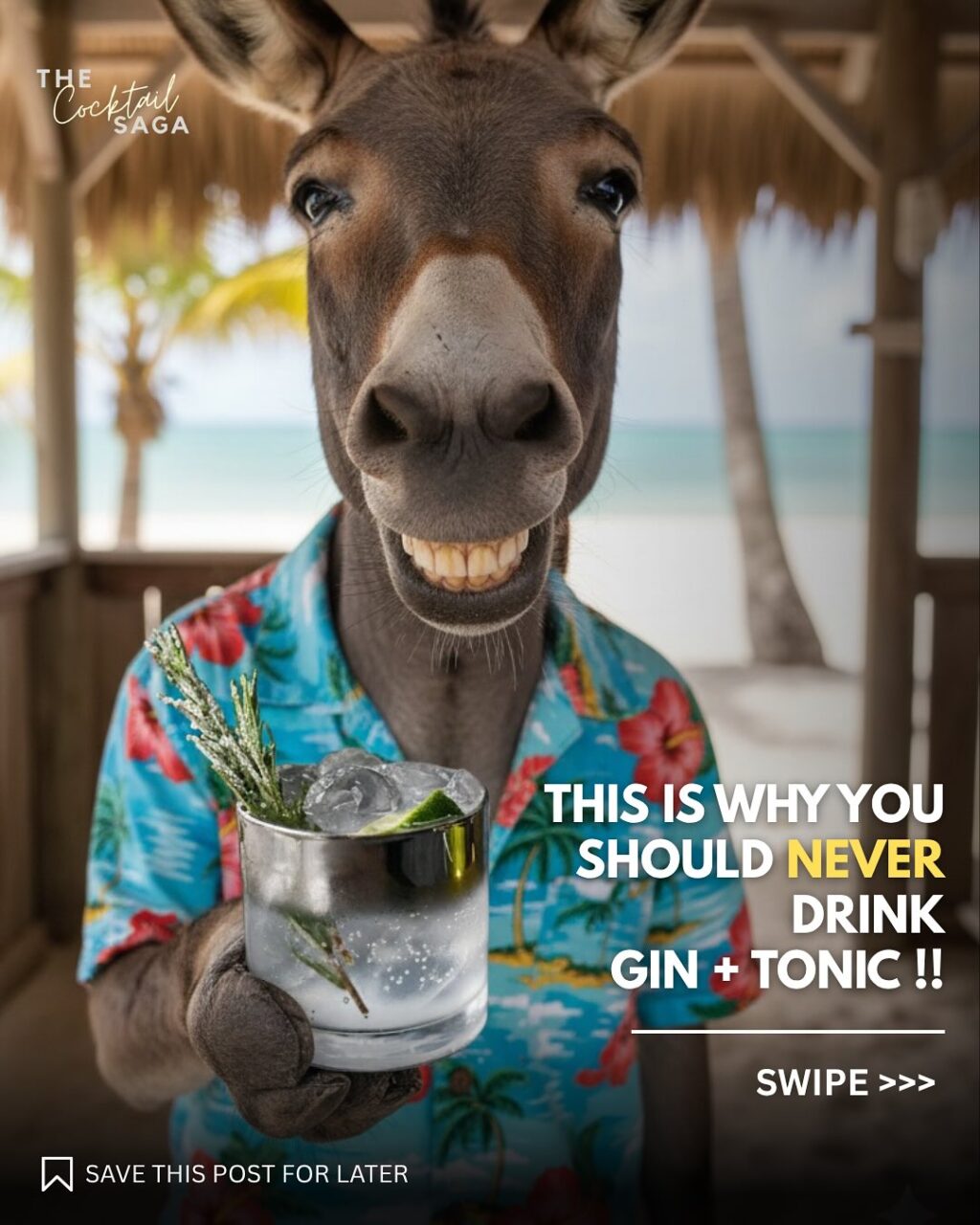 Instagram post from thecocktailsaga. This post is in position 0.