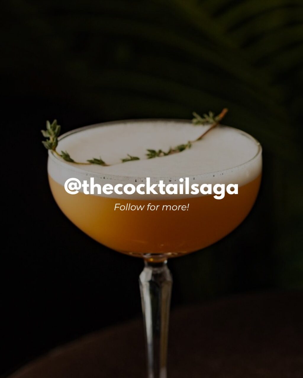 Instagram post from thecocktailsaga. This post is in position 3.