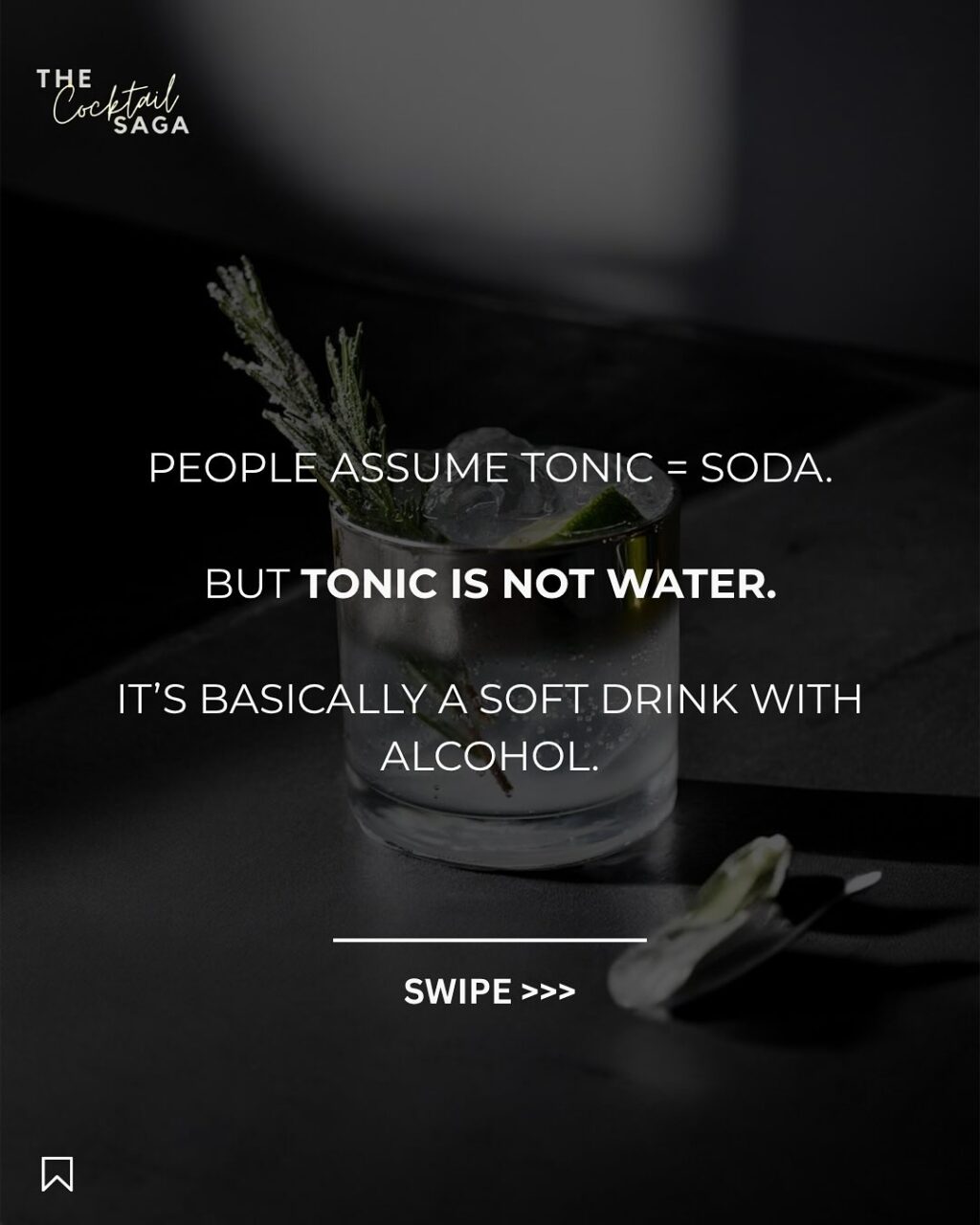 Instagram post from thecocktailsaga. This post is in position 1.