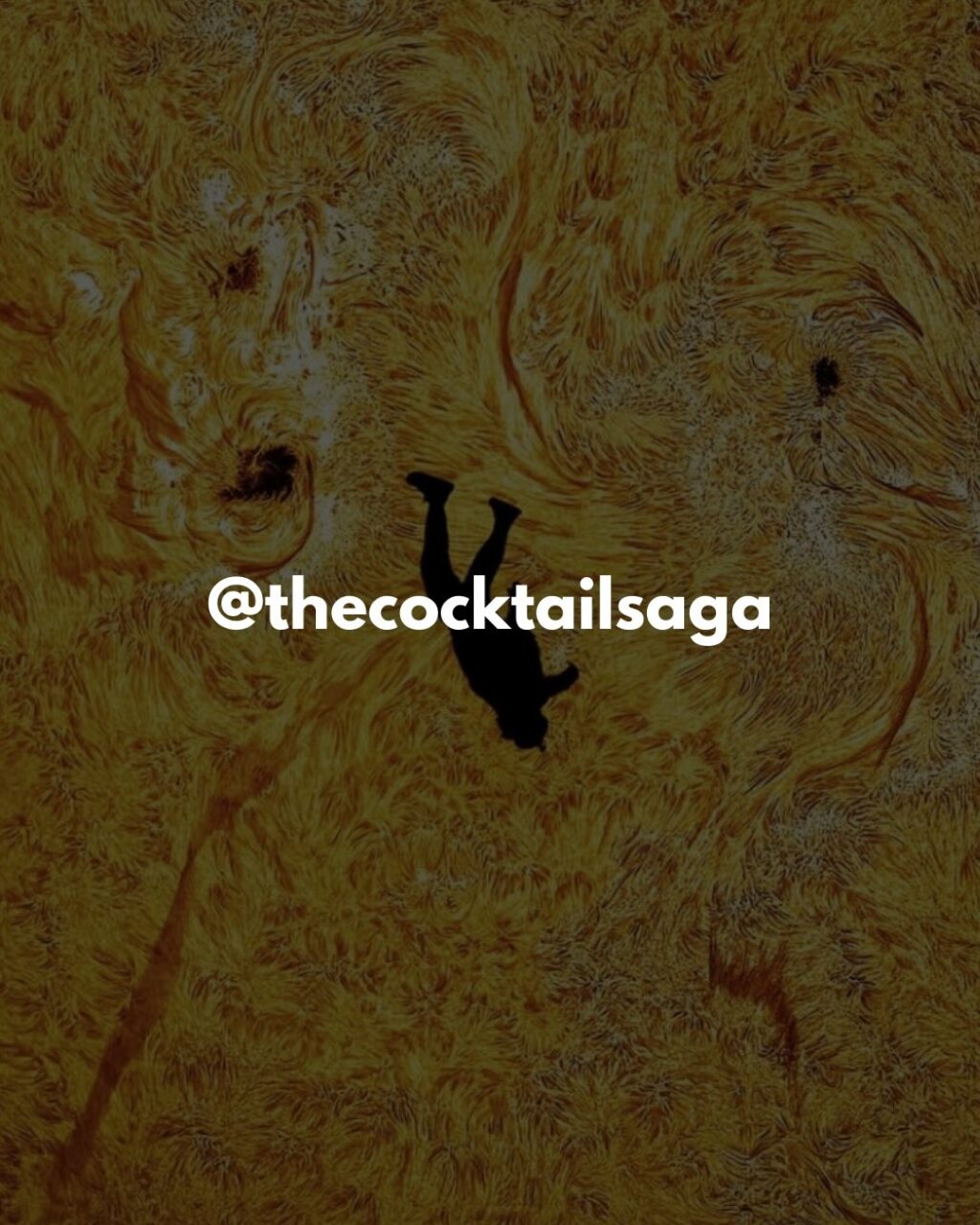 Instagram post from thecocktailsaga. This post is in position 6.